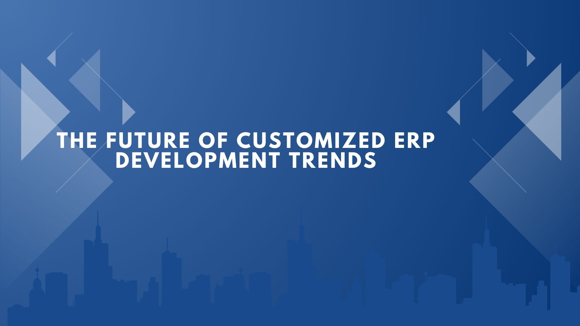 customized erp development
